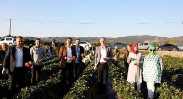 Kırmızı Elmas’ın Ünü Sınırları Aşıyor