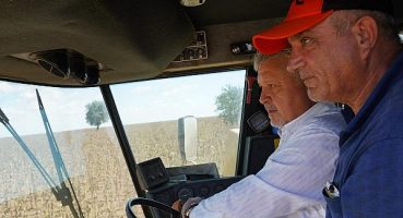 Lüleburgaz’da ayçiçekleri halk için hasat edildi