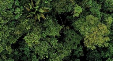 Teknosa Hatıra Ormanı büyüyor