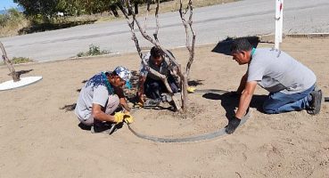 Burhaniye’de Park Bakımları Başladı