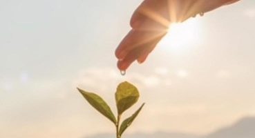 Divan Grubu, “Divan’dan Doğaya, Tohumdan Ağaca’’ dedi