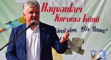 Dönüştürülemeyen ambalaj atıkları onların yuvası oldu