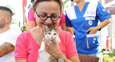 Karşıyaka’da can dostlara sıcak yuva aranıyor