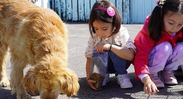 Minik Yürekler Can Dostlarla Buluştu