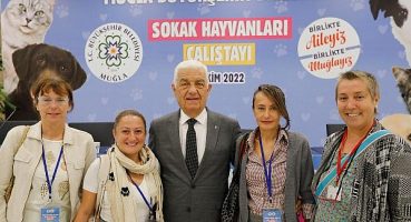 Muğla Sokak Hayvanları Çalıştayı’nın Sonuç Bildirgesi Yayınlandı