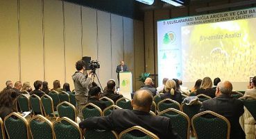 Balparmak’tan Türk Çam Balı İhracatında Devrim Yaratan Metot