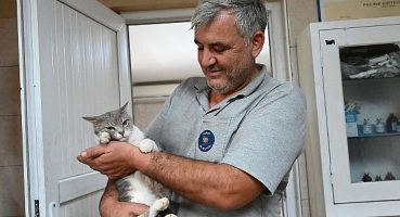 Evcil hayvanlarda çip dönemi