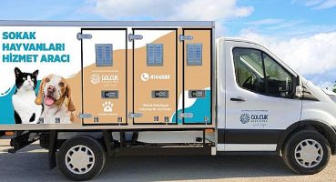 Gölcük Belediyesi Sokak Hayvanlarını Özel Araç İle Nakledecek