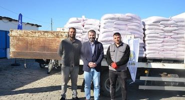 Kınıklı çiftçinin yüzü bu yıl karakılçıkla gülecek