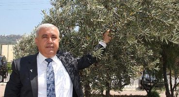 Türkiye, 2021/22 sezonunda 201 milyon dolarlık zeytinyağı ihraç etti