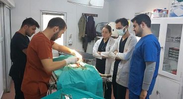 Veteriner hekim adaylarına uygulamalı eğitim