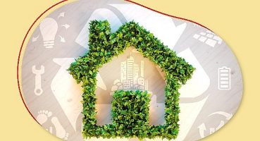 Aksigorta’dan Sürdürülebilirliğe Katkı: Ekolojik Akkonut