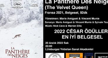 En iyi belgesel yarın LYSA'da!