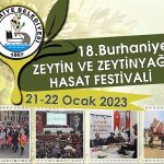 burhaniye-zeytin-hasat-festivaline-geri-sayim-basladi.jpg