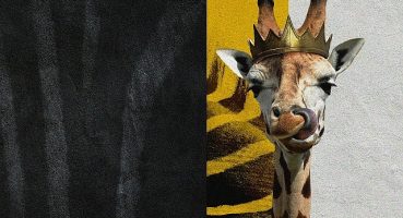 “Disney'in Sihirli Hayvan Krallığı" National Geographic WILD'da