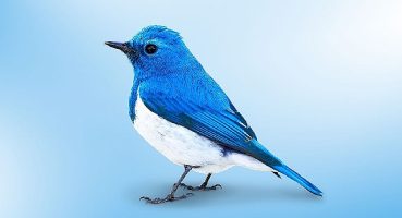 Popüler bir sosyal medya ağındaki yeni spam saldırıları, kullanıcıların kripto cüzdanlarını hedefliyor