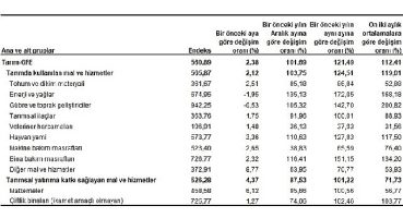 Tarımsal girdi fiyat endeksi (Tarım-GFE) yıllık %121,49, aylık %2,38 arttı