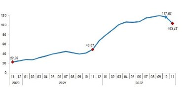 TÜİK İnşaat maliyet endeksi yıllık %103,47, aylık %1,17 arttı