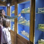 deniz-biyoloji-muzesindeki-baliklar-yenilenecek.jpg