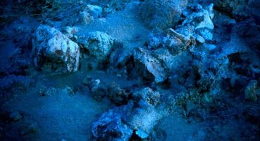 Jochen Proehl'ün hazırladığı PONTOS sergisi Millî Reasürans Sanat Galerisi'nde