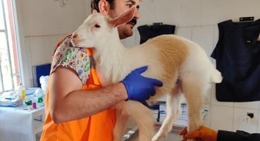 Keçiören Belediyesi Binlerce Afetzede Canlıyı Tedavi Etti