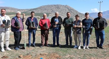 Korkuteli'de antepfıstığı yetiştiriciliği yapılacak