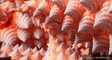 'NVIDIA Studio'nun Bu Haftaki Konuğu, ManvsMachine