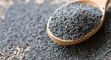 Türkiye'nin gıda koridoru kapanmasın