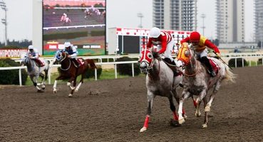 Veliefendi Hipodromu'nda “Çorlu Belediye Başkanlığı Koşusu" Düzenlendi