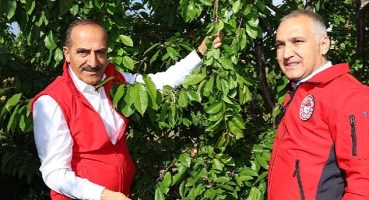 2023'ün ilk kirazı hasat edildi: Kirazda rekorlar kırdığımız bir yıl olacak