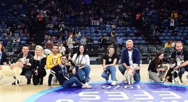 Anadolu Efes, Pawder İş Birliğiyle Depremzede Köpekleri Sinan Erdem Spor Salonu'nda Ağırladı