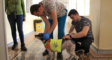 Konak'taki can dostlar için aşı mesaisi