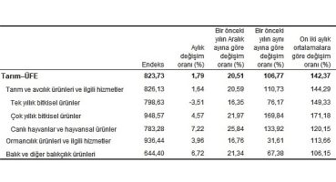 TÜİK: Tarım ürünleri üretici fiyat endeksi (Tarım-ÜFE) yıllık %106,77, aylık %1,79 arttı