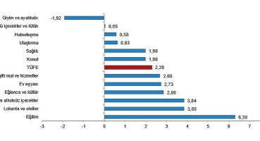 TÜİK: Tüketici fiyat endeksi (TÜFE) yıllık %50,51, aylık %2,29 oldu