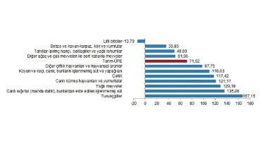 TÜİK: Tarım ürünleri üretici fiyat endeksi (Tarım-ÜFE) yıllık %71,52 arttı, aylık %2,32 azaldı