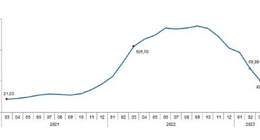 TÜİK: Tarımsal girdi fiyat endeksi (Tarım-GFE) yıllık %49,70, aylık %1,41 arttı