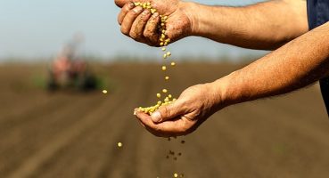 Türkiye'nin gıda ihracatındaki yeni hedefi 50 milyar dolar