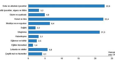 Hanehalkı bütçesinden en fazla pay gıda ve alkolsüz içecek harcamasına ayrıldı