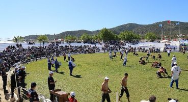 Edremit'te 500 pehlivan kol bağlayacak