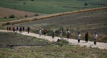 Nilüfer'deki tarım uygulamaları hayranlık uyandırdı