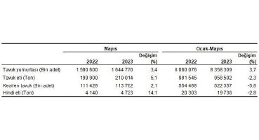 Tavuk eti üretimi 210 bin 14 ton, tavuk yumurtası üretimi 1,64 milyar adet olarak gerçekleşti