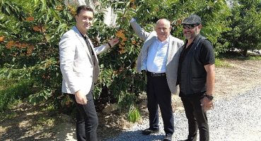 Yahyalı'dan Dünya'nın bir çok bölgesine kiraz ihracatı yapılıyor