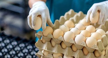 EİB'den Temmuz ayında 1 milyar 462 milyon dolarlık ihracat