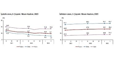 TÜİK: İşgücü İstatistikleri, II. Çeyrek: Nisan – Haziran, 2023