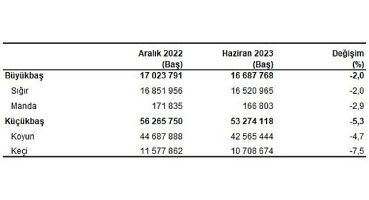 Büyükbaş hayvan sayısı 2023 yılı Haziran ayında 16 milyon 688 bin baş oldu