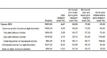 Tarım ürünleri üretici fiyat endeksi (Tarım-ÜFE) yıllık yüzde 71,96, aylık yüzde 4,47 arttı