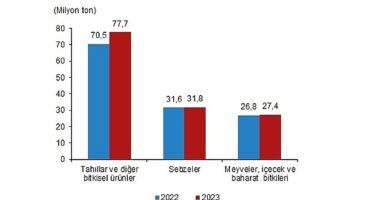 Bitkisel üretim bir önceki yıla göre arttı