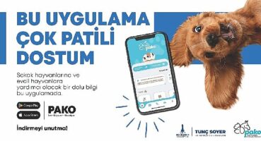 Büyükşehir'den can dostlar için “Pako" mobil uygulaması