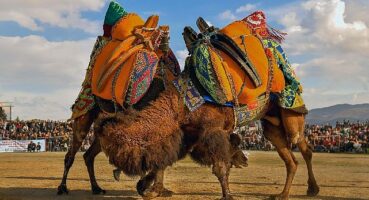 Körfezin incisi burhaniye 1. ulusal fotoğraf yarışması sonuçlandı