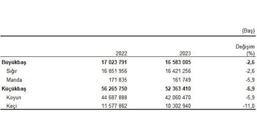 Büyükbaş hayvan sayısı bir önceki yıla göre yüzde 2,6 azalarak 16 milyon 583 bin baş oldu
